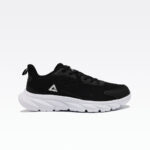 E233311h Black White