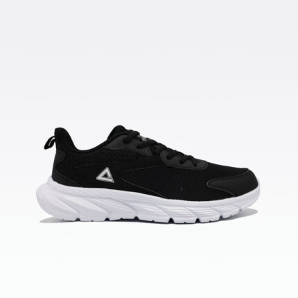 E233311h Black White