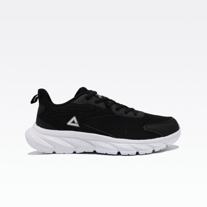 E233311h Black White