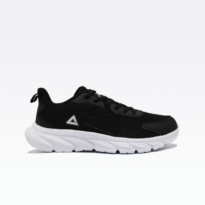 E233311h Black White