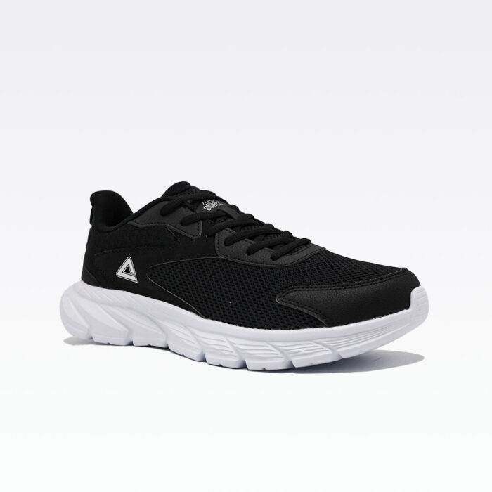 E233311h Black White(2)