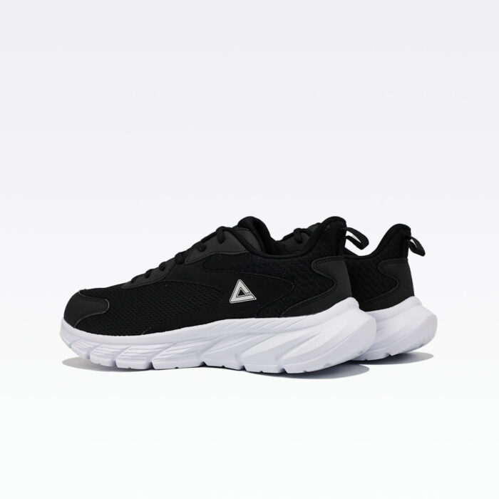 E233311h Black White(3)